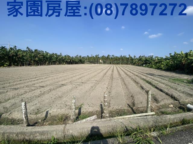 屏東農地-2