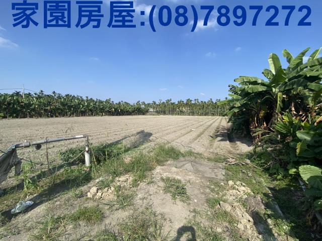 屏東農地-4