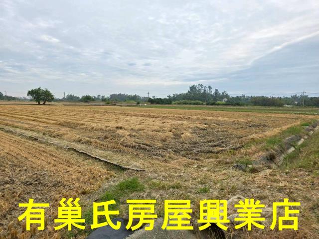 台南農地-11