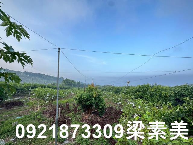 台灣房屋民權加盟店土地買賣