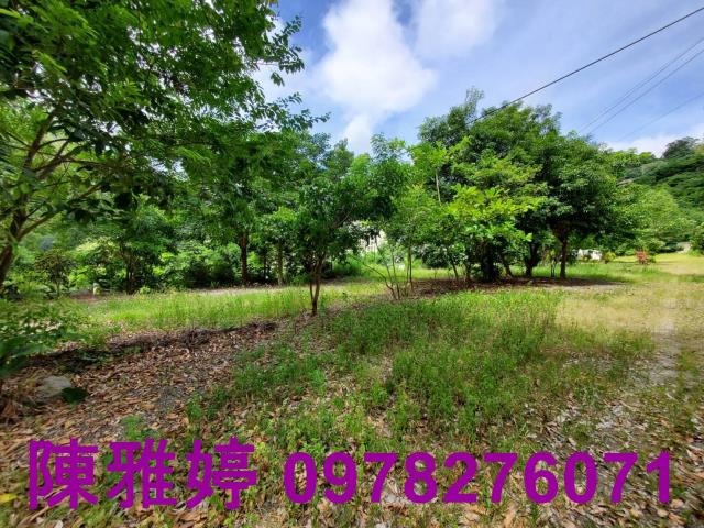 台東卑南農地-10