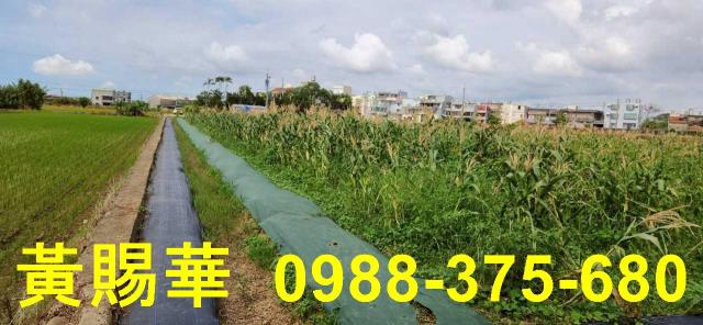 新竹湖口農地-9