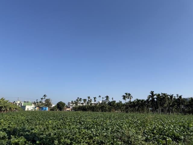 屏東市農地-2