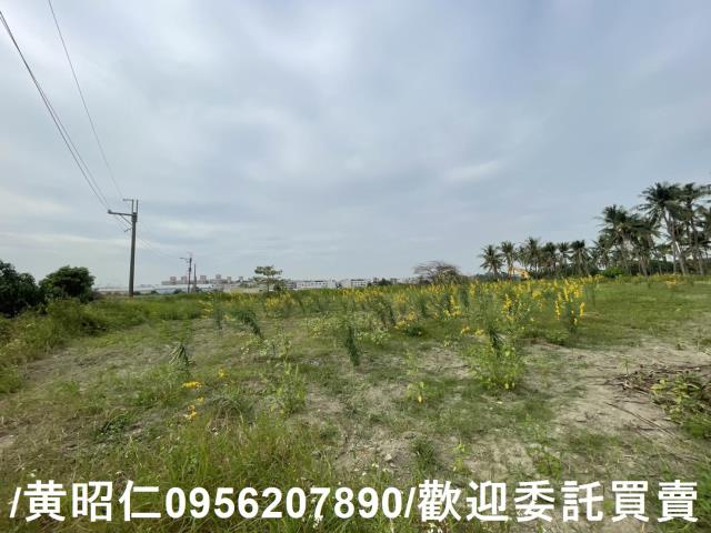 台南永康農地-1