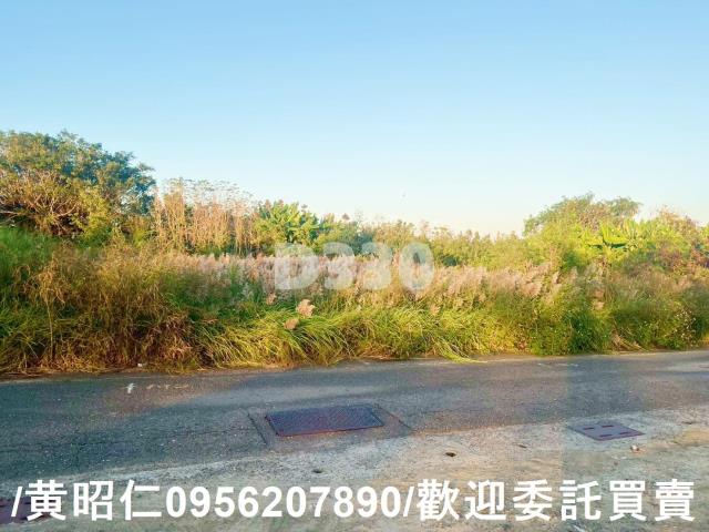 專東區自由路持分地二