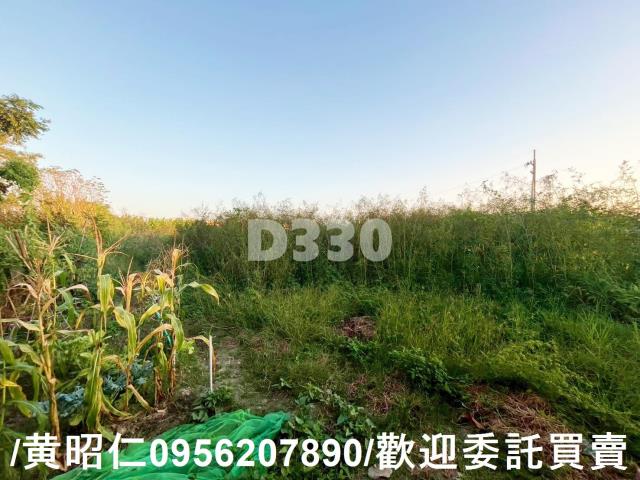 台南七股建地-3