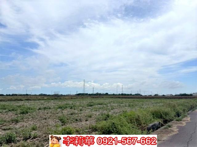 台南鹽水農地-6