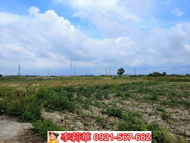 台南鹽水農地-8