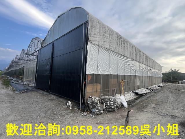 南投埔里農地-10