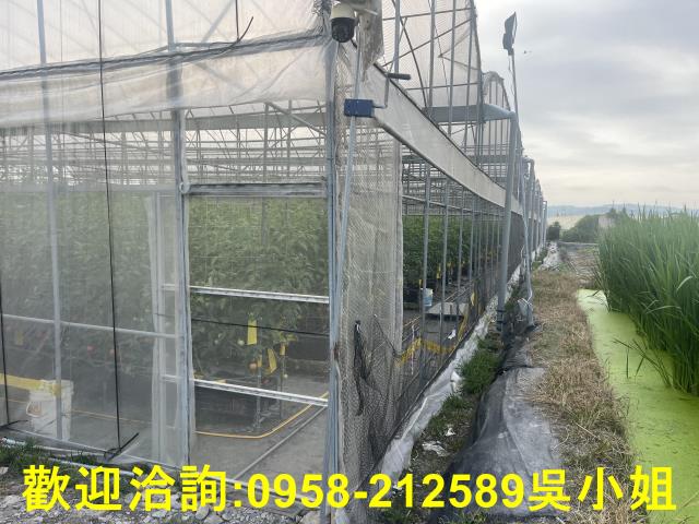 南投埔里農地-12