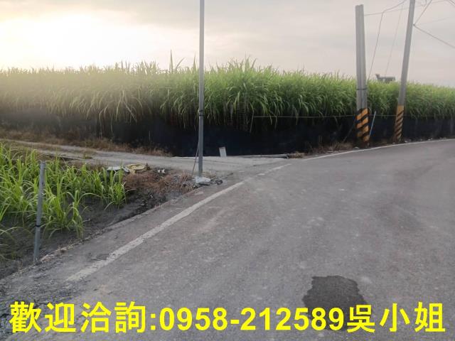 南投埔里農地-1