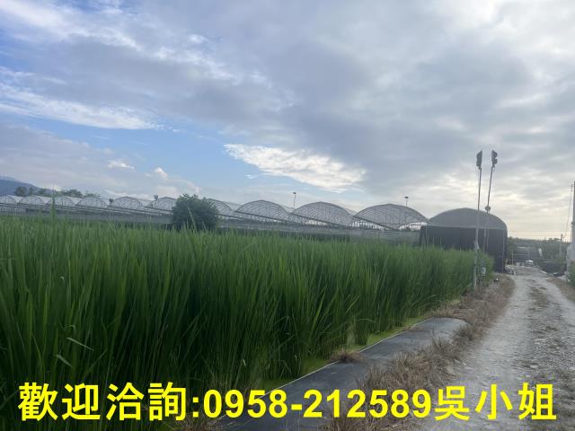 南投埔里農地-5