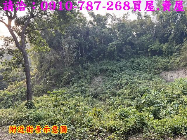 台南龍崎農地-7