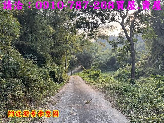 龍崎農地-6