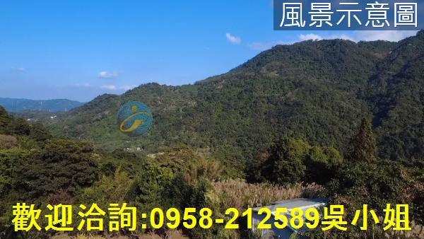 竹東山坡地-1