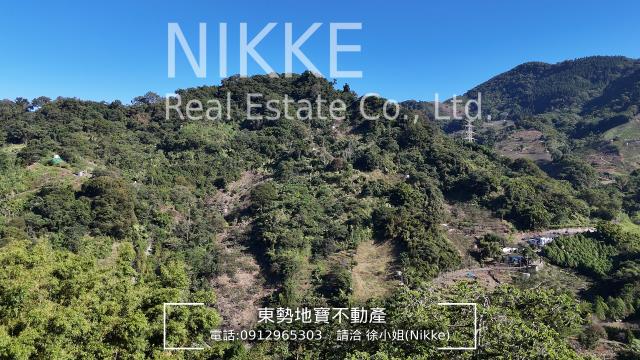 台中市東勢區石角小段農地