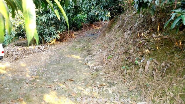 台南楠西農地-3