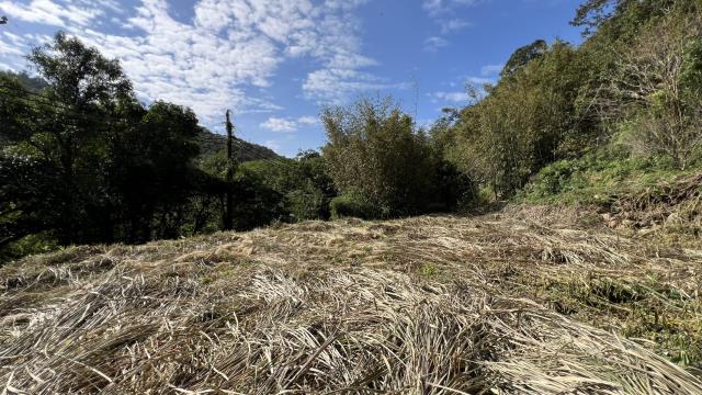 新竹縣市房地產新庄子新豐國中