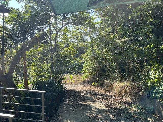 高雄旗山農地-9