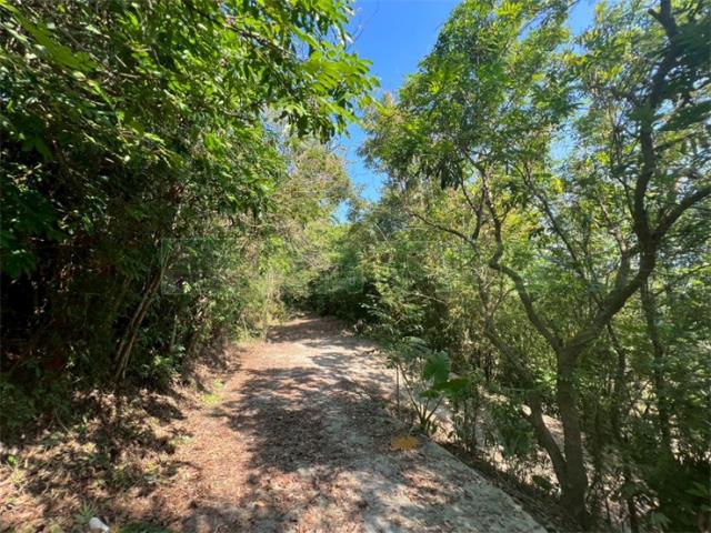 高雄旗山農地-11