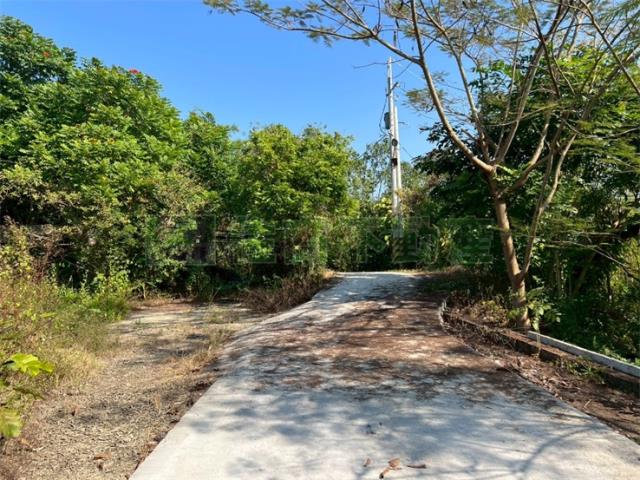 高雄旗山農地-1