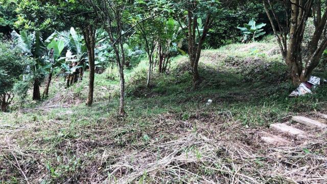 新竹關西農地-9