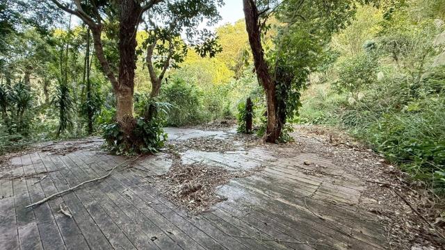 新竹關西農地-14