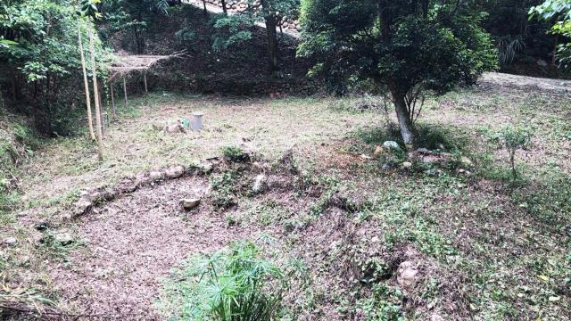 新竹關西農地-6