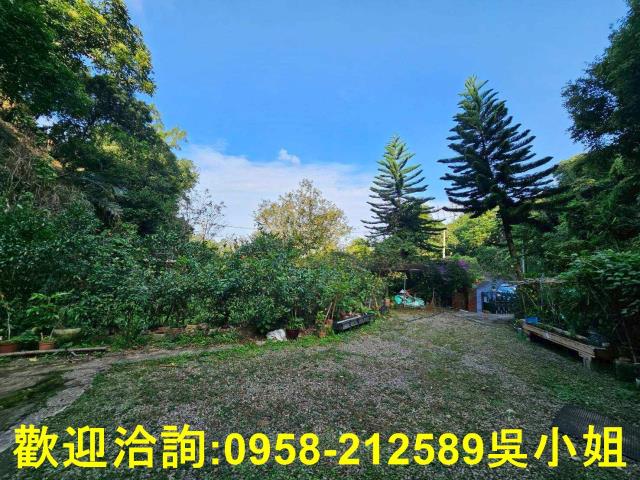 新埔山坡地-11