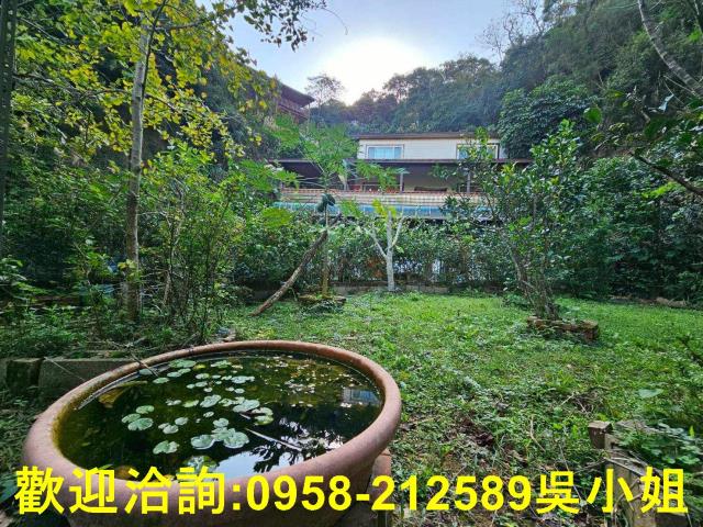 新埔山坡地-13