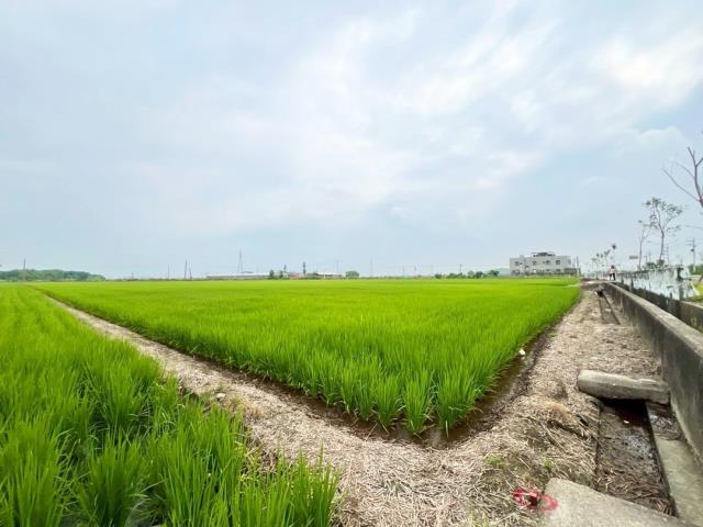 新港農地-3