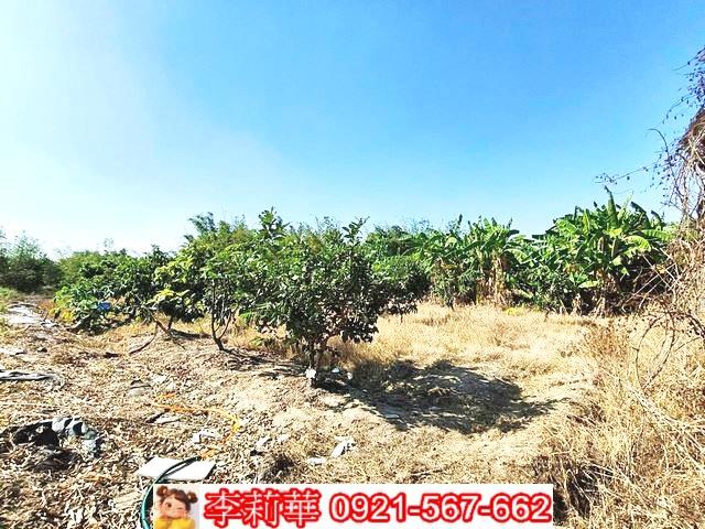 台南關廟農地-11