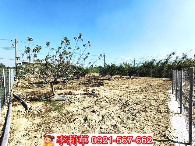 台南關廟農地-6