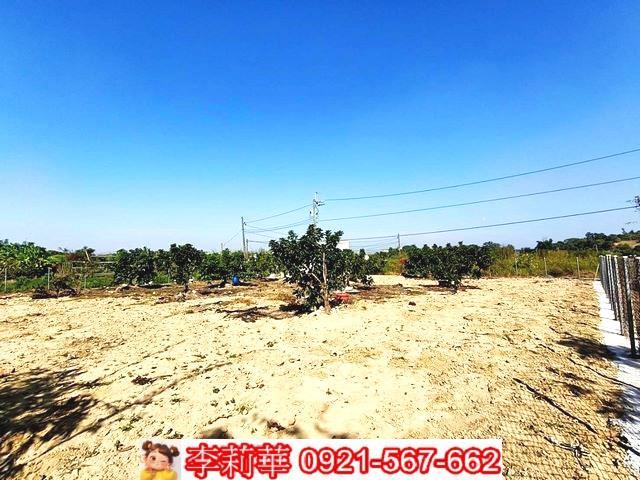 台南關廟農地-8