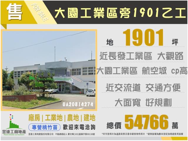 桃園大園工業地-1