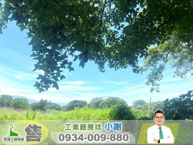 桃園大溪工業地-0