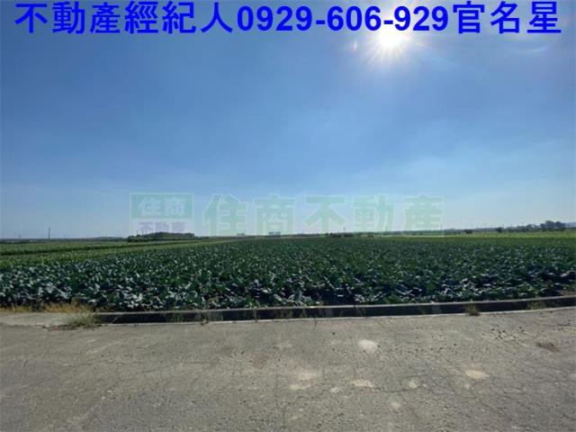 嘉義農地-1