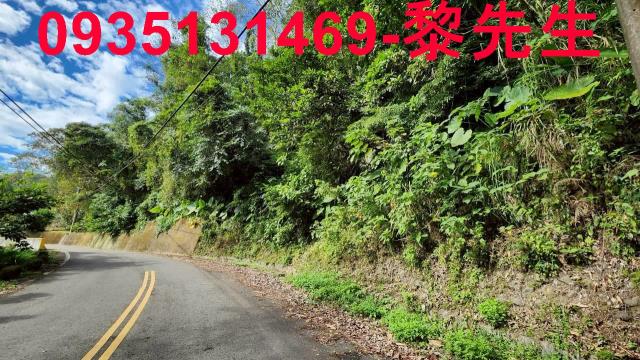 峨眉鄉水流東745坪景觀農地