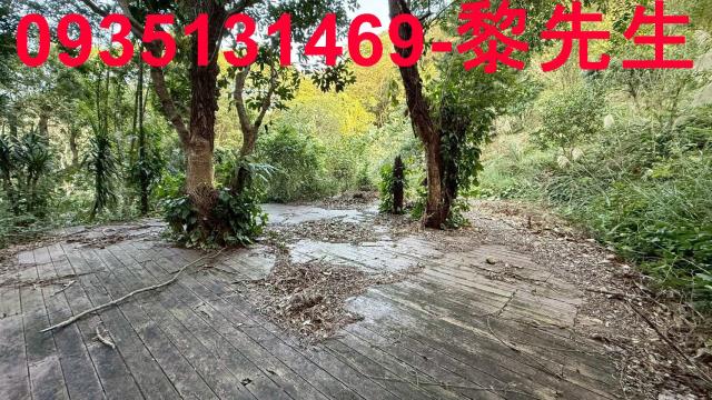 新竹關西農地-2