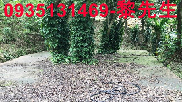 關西土地關西農地