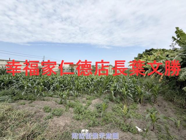 台南佳里農地-8