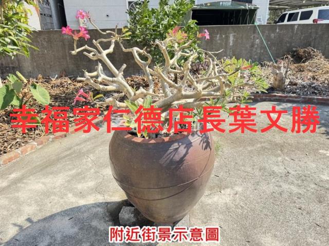 台南麻豆建地-8