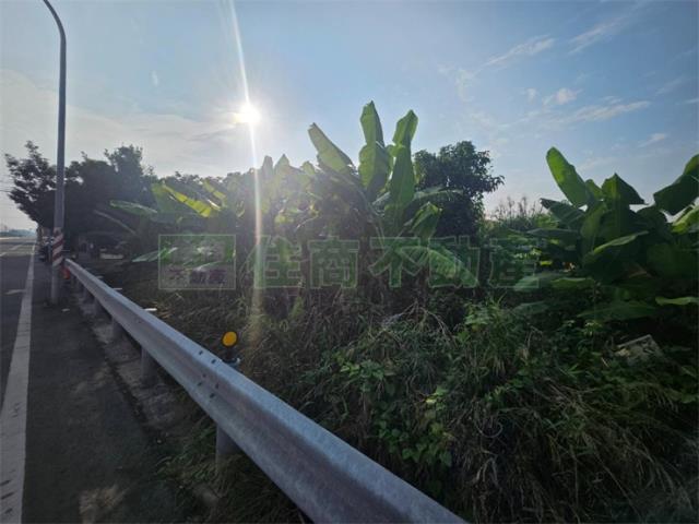 大樹農地-6