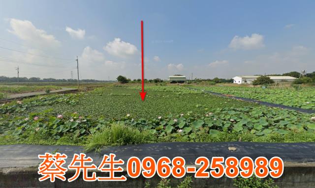 善化埤仔尾農舍地興建農舍種植農作物