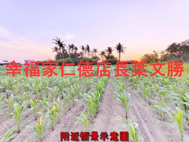 安定農地-5