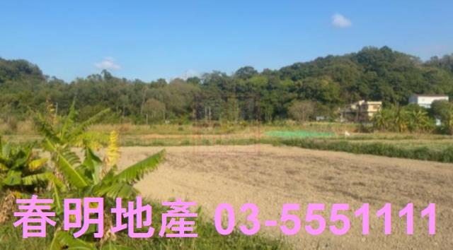 新竹縣市房地產近湖口火車站