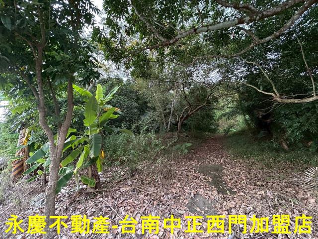 大內有水電農地