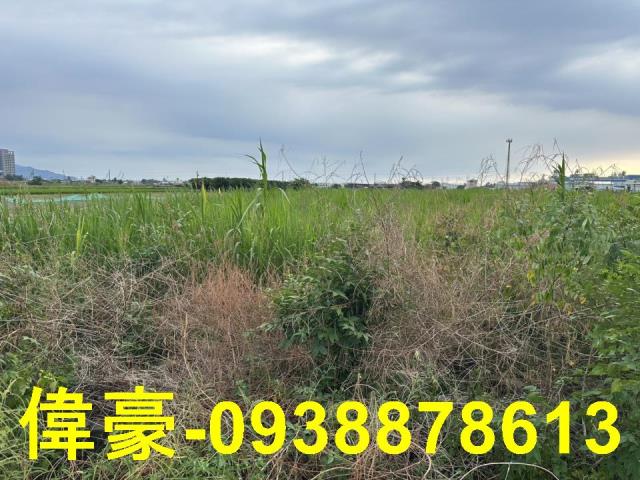 高雄橋頭農地-0