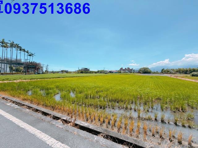 宜蘭五結農地-13