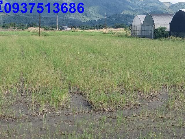 宜蘭三星農地-2